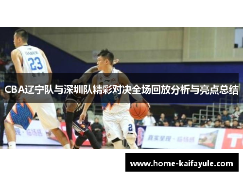 CBA辽宁队与深圳队精彩对决全场回放分析与亮点总结